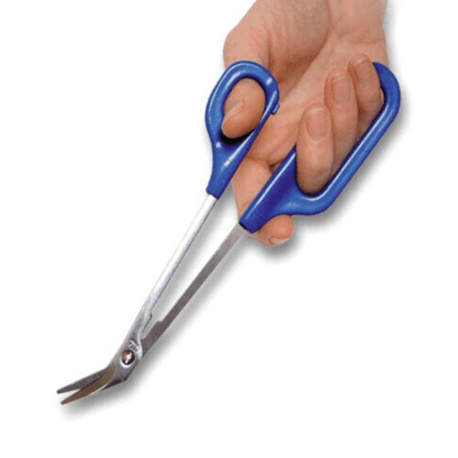 Huvudbild Nagelsax, lång